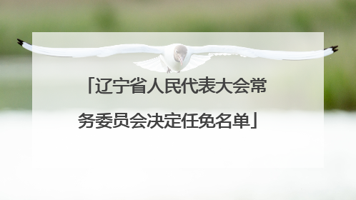 辽宁省人民代表大会常务委员会决定任免名单